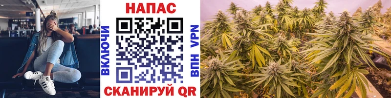 Бошки Шишки план  Купить где  Петушки 